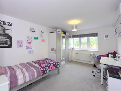 Picture 20